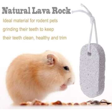 PINVNBY 10 Pcs Rabbits Lava Blocks for Teeth Grinding - Perfect for Chinchillas and Hamsters!