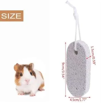 PINVNBY 10 Pcs Lava Blocks for Small Animals Teeth Health