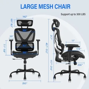 GABRYLLY Ergonomic Office Chair with Lumbar Support