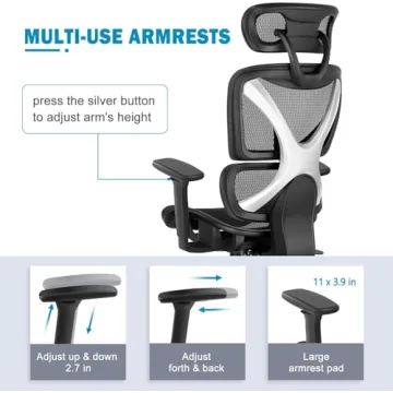 GABRYLLY Ergonomic Office Chair with Lumbar Support