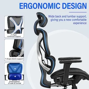 GABRYLLY Ergonomic Office Chair with Lumbar Support