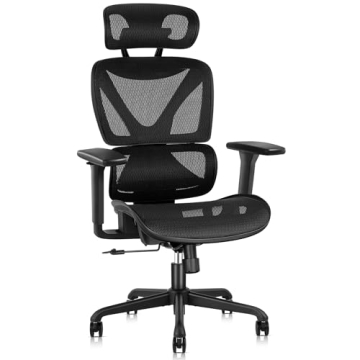 GABRYLLY Ergonomic Office Chair with Lumbar Support