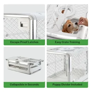 Diggs Revol Dog Crate Portable Collapsible for Medium Dogs