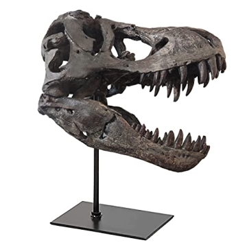pombconw T Rex Skull, Dinosaur Statue Resin Replica Head Sculptures, Home Office Decorations on Shel...