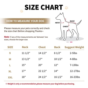 Stylish Warm Dog Coat for Small Breeds in Pink