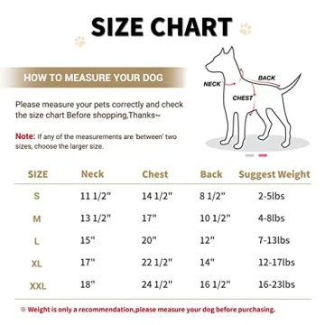 Stylish Warm Dog Coat for Small Breeds in Pink