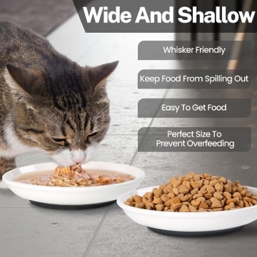 Kitwinney Cat Food Bowls - Whisker Friendly, Non-Slip, Set of 3