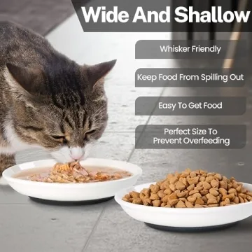 Kitwinney Cat Food Bowls - Whisker Friendly, Non-Slip, Set of 3