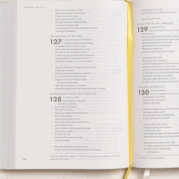 CSB She Reads Truth Bible – Beautiful, Practical Gift