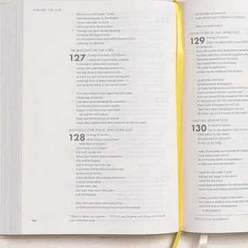 CSB She Reads Truth Bible – Beautiful, Practical Gift