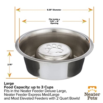 Stainless Steel Slow Feed Bowl for Dogs & Cats - Neater Brands
