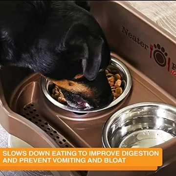 Stainless Steel Slow Feed Bowl for Dogs & Cats - Neater Brands