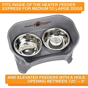 Stainless Steel Slow Feed Bowl for Dogs & Cats - Neater Brands