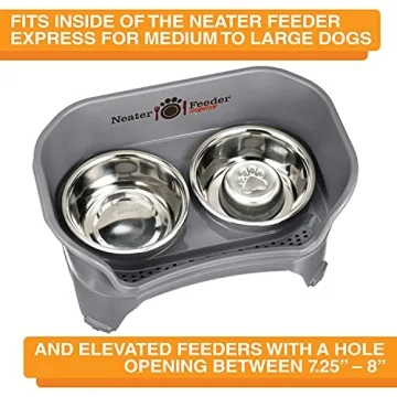 Stainless Steel Slow Feed Bowl for Dogs & Cats - Neater Brands