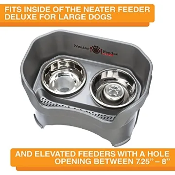 Stainless Steel Slow Feed Bowl for Dogs & Cats - Neater Brands