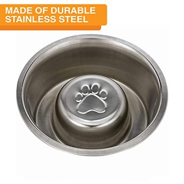 Stainless Steel Slow Feed Bowl for Dogs & Cats - Neater Brands