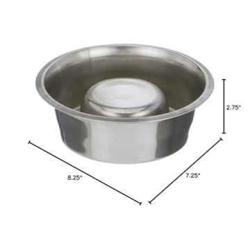 Stainless Steel Slow Feed Bowl for Dogs & Cats - Neater Brands