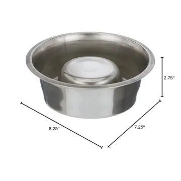 Stainless Steel Slow Feed Bowl for Dogs & Cats - Neater Brands
