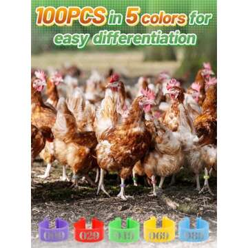 16mm 100 Pcs Chicken Leg Rings - Colorful Readable Numbered Chicken Identification Leg Bands, Durable Poultry Leg Bands Clip on Leg Rings for Ducks Chicks Chicken Guinea Pigeons Goose Gamefowl Turkey