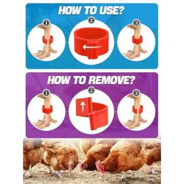 16mm 100 Pcs Chicken Leg Rings - Colorful Readable Numbered Chicken Identification Leg Bands, Durable Poultry Leg Bands Clip on Leg Rings for Ducks Chicks Chicken Guinea Pigeons Goose Gamefowl Turkey