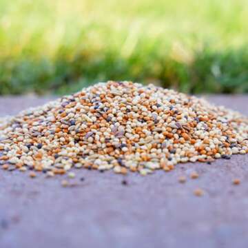 Desert Valley Finch Seed, All Natural, Non-GMO Premium Food for Domestic and Wild Finch, Songbirds, Buntings & More (3 Pounds)