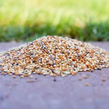 Desert Valley Finch Seed, All Natural, Non-GMO Premium Food for Domestic and Wild Finch, Songbirds, Buntings & More (3 Pounds)