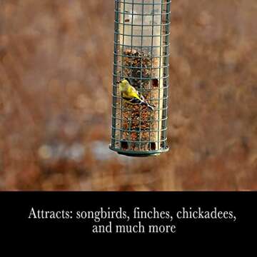 Desert Valley Finch Seed, All Natural, Non-GMO Premium Food for Domestic and Wild Finch, Songbirds, Buntings & More (3 Pounds)