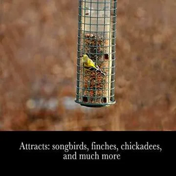 Desert Valley Finch Seed, All Natural, Non-GMO Premium Food for Domestic and Wild Finch, Songbirds, Buntings & More (3 Pounds)