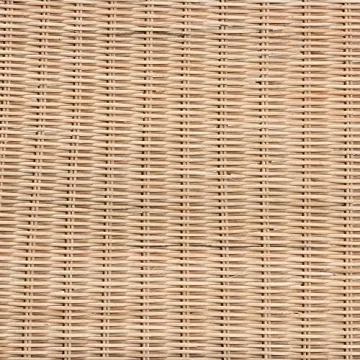 Bali & Pari Farica Natural Rattan Accent Bench