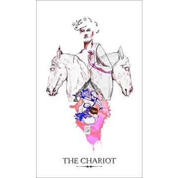 Linestrider Tarot Deck Beautiful Art and Insightful Guidebook