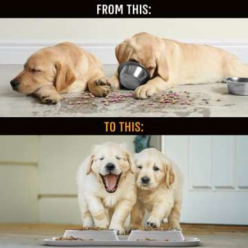 Active Pets Dog Bowl Set, Stainless Steel No Spill Mess-Proof Food & Water Dog Food Bowls with Skid Resistant Silicone Mat, Dog Bowls Small Size Dog, Medium, & Large, Pet Puppy Bowls & Dog Dishes