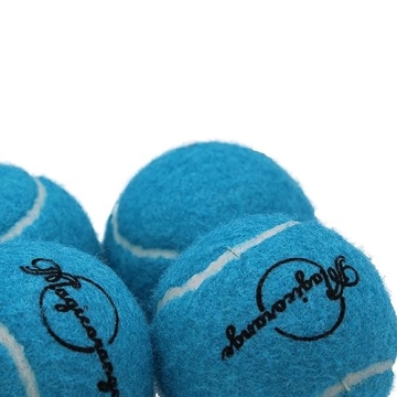 Magicorange Tennis Balls Pack - Perfect for Dogs & Players