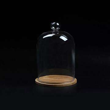 Home Decor Vases Glass Flower Display Cloche Bell Jar Dome Immortal Preservation + Wooden Base Everl...