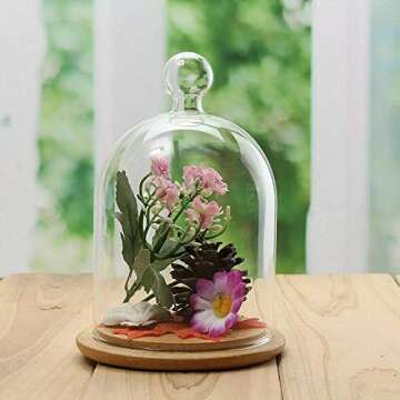 Home Decor Vases Glass Flower Display Cloche Bell Jar Dome Immortal Preservation + Wooden Base Everlasting Flower Glass Cover