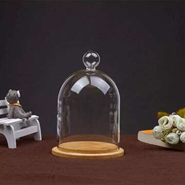 Home Decor Vases Glass Flower Display Cloche Bell Jar Dome Immortal Preservation + Wooden Base Everlasting Flower Glass Cover