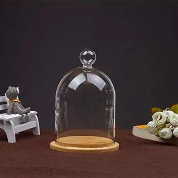 Home Decor Vases Glass Flower Display Cloche Bell Jar Dome Immortal Preservation + Wooden Base Everlasting Flower Glass Cover