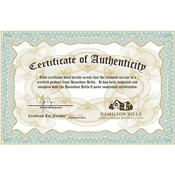 Hamilton Hills Silver Framed Mirror 18x48 for Any Room