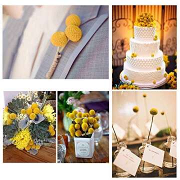 XHXSTORE 30pcs Natural Dried Flowers Yellow Craspedia Billy Balls Dried Flowers Boho Flowers Dried Floral Arrangements for Home Kitchen Table Wedding Party Office Decor (16.14 Inch)