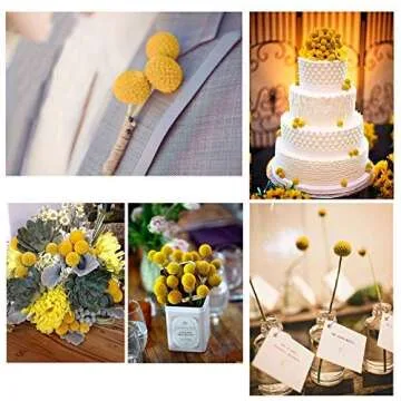 Natural Dried Flowers Yellow Craspedia for Home Decor