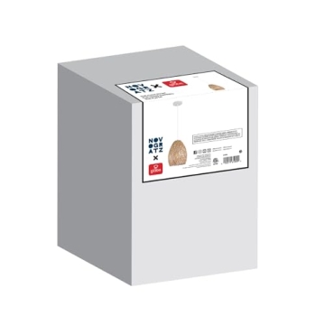 Enhance Your Home with Globe Electric Rio Pendant Light