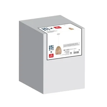 Enhance Your Home with Globe Electric Rio Pendant Light