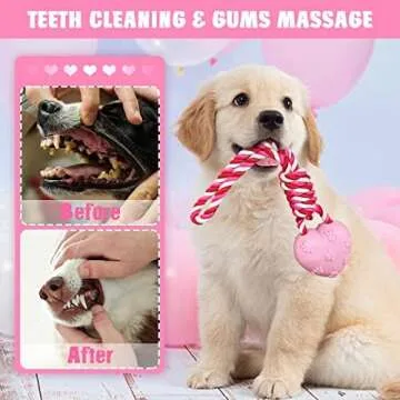 Lepawit Valentine's Day Dog Toys, 2 Pack Dog Rope Toys for Tug of War, Dog Chew Toys for Teeth Cleaning, Valentine's Day Dog Gifts for Small and Medium Dogs