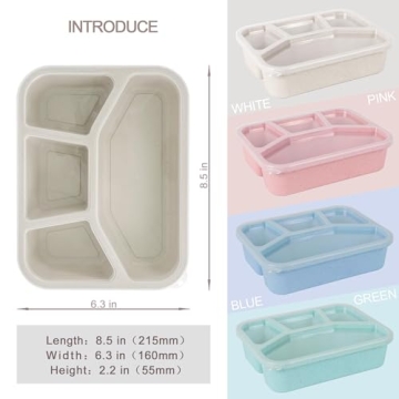 Lunchable Container - 4 Pack Bento Box for Kids and Adults