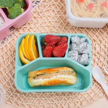 Lunchable Container - 4 Pack Bento Box for Kids and Adults