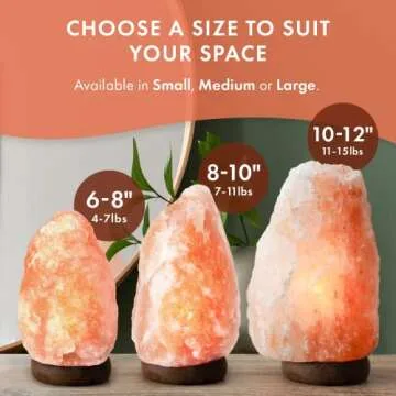 Body Source Himalayan Salt Lamp with Dimmer Switch
