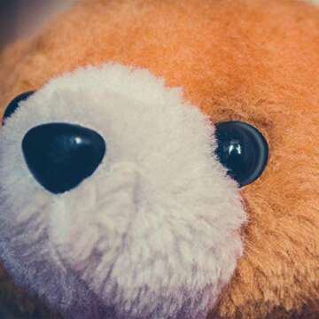 WILLBOND 56 Pcs Safety Eyes for DIY Doll Making