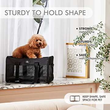 X-ZONE PET Cat Carrier Dog Carrier Pet Carrier for Small Medium Cats Dogs Puppies of 15 Lbs,Airline Approved Soft Sided Pet Travel Carrier,Dog Carriers for Small Dogs - Black Grey Purple Blue Brown