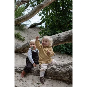 BIBS De Lux Sage Baby Pacifiers - 0-6 Months Set of 2