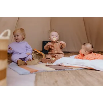 BIBS De Lux Sage Baby Pacifiers - 0-6 Months Set of 2