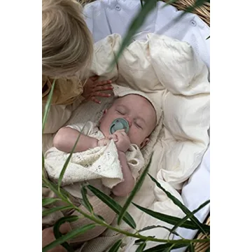 BIBS De Lux Sage Baby Pacifiers - 0-6 Months Set of 2